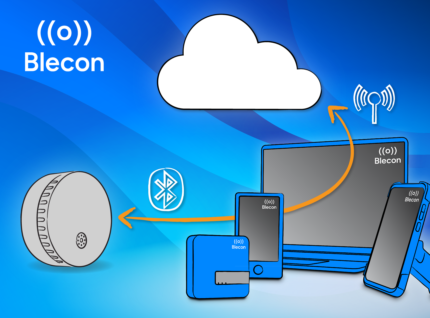 Blecon Overview