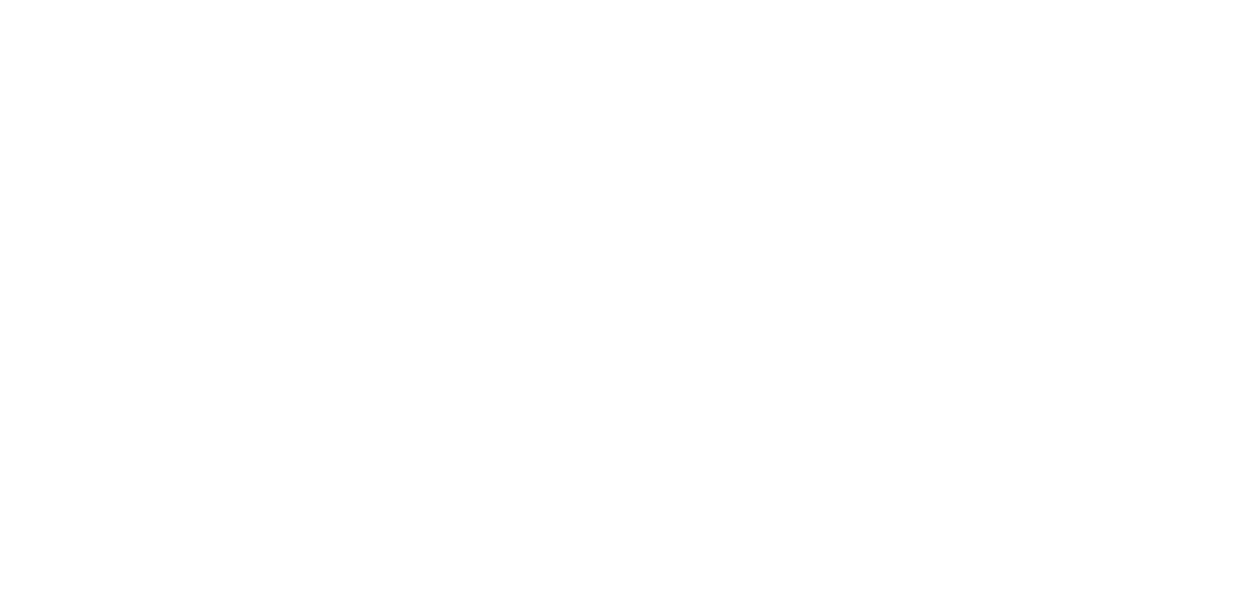 Blecon_Logo_Symbol_wht_RGB