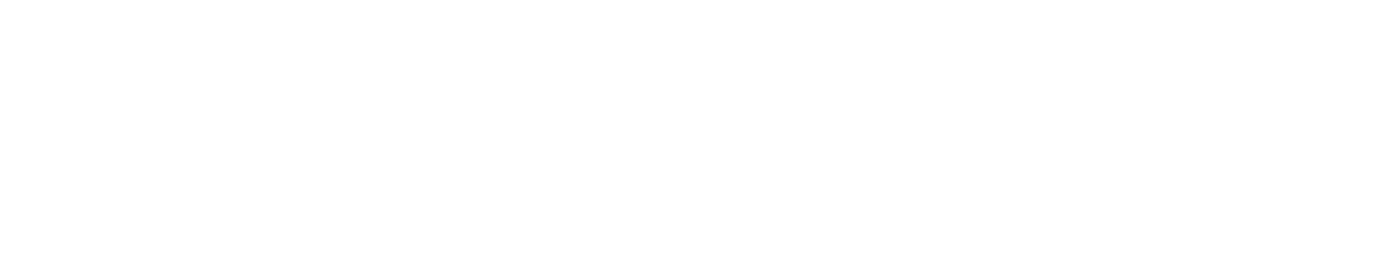 Blecon_Logo_Horizontal_wht_RGB